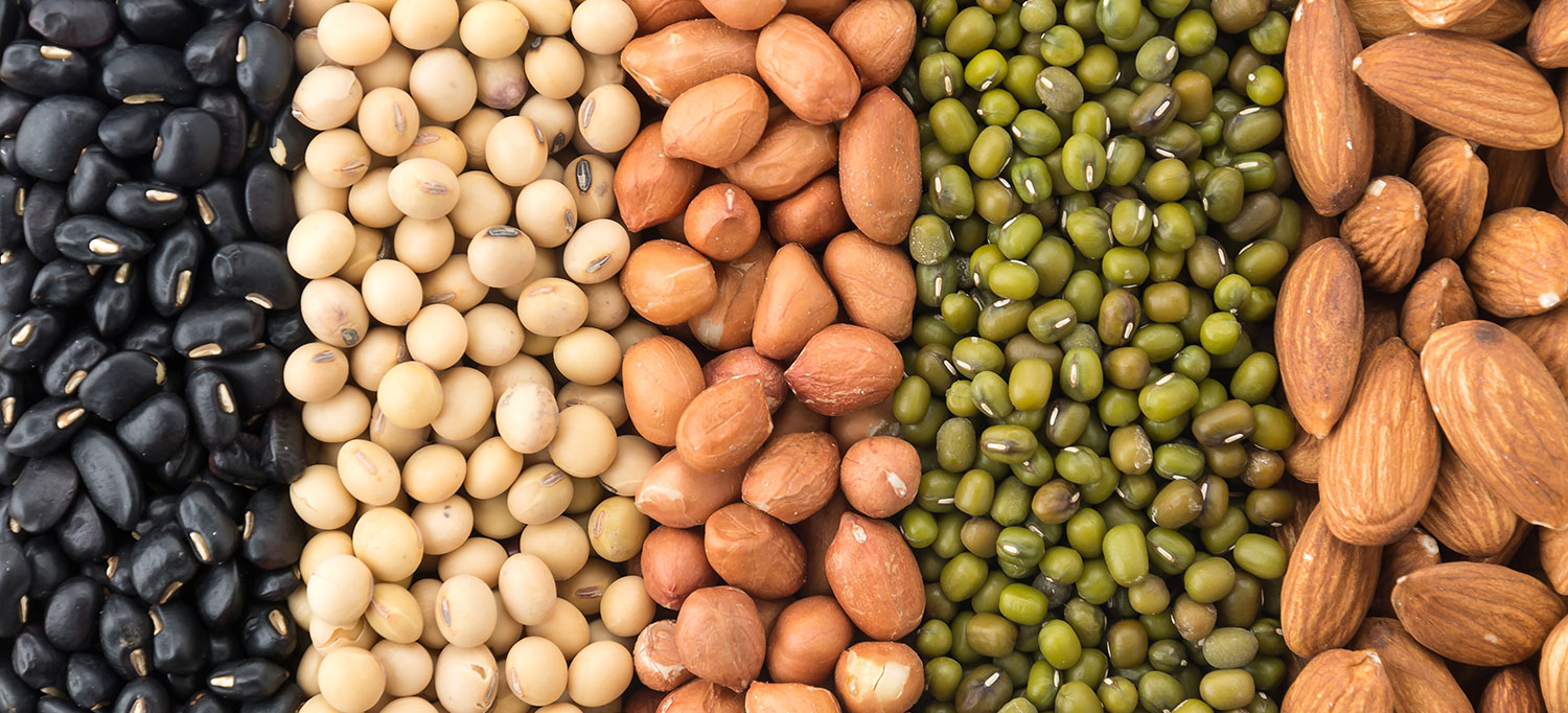 Alimentos e Ração Animal