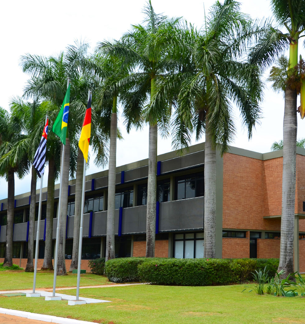 Contato